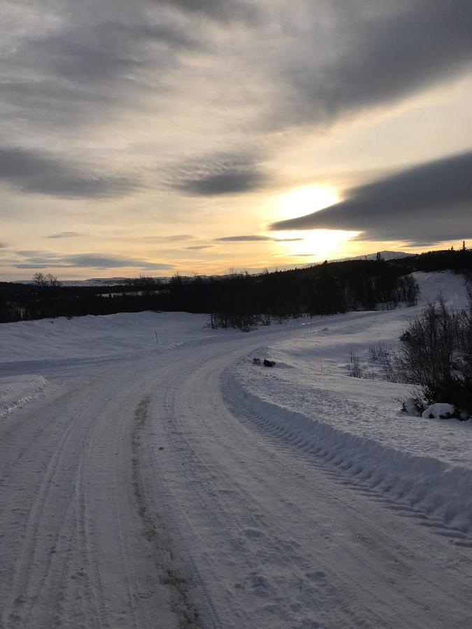 In The Mountain, Outstanding View & Solar Energy Holiday home Slidre